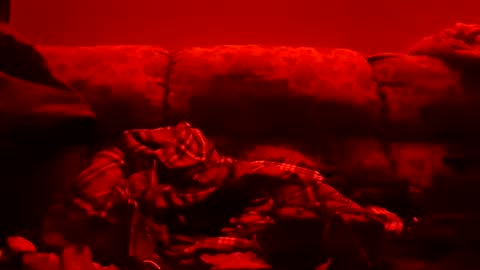 Snapshot of tretrix5588 chatting on 01/11/25, 10:51 tretrix5588 online show from 01/11/25, 10:51