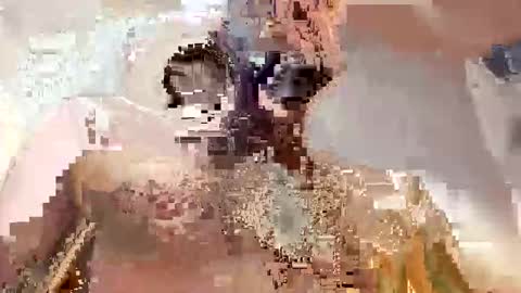 trex23rd online show from 12/02/25, 09:47