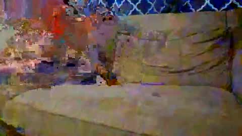 trex23rd online show from 12/02/25, 09:54