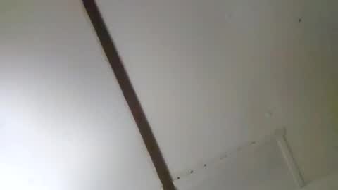 trex23rd online show from 02/07/26, 09:35