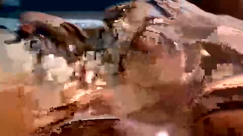 trigood online show from 02/13/25, 02:01