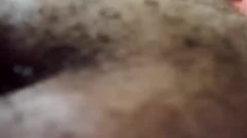 Antique-Shirt2516 online show from 10/08/25, 09:34