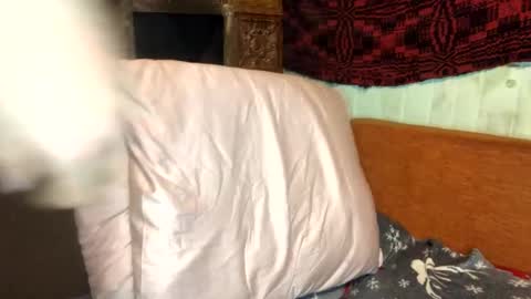 Snapshot of troncq chatting on 03/02/25, 06:19 Troncq online show from 03/02/25, 06:19