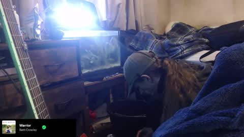 Snapshot of trooper0690 chatting on 02/12/26, 06:14 trooper0690 online show from 02/12/26, 06:14