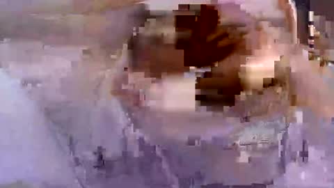 troy1965 online show from 04/26/26, 05:27