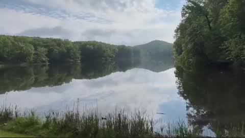 Treistoph online show from 02/21/26, 01:56