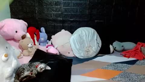 SHENA  online show from 04/18/26, 07:58