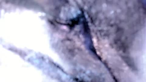   Stella Hanlon    - - online show from 02/12/25, 03:18