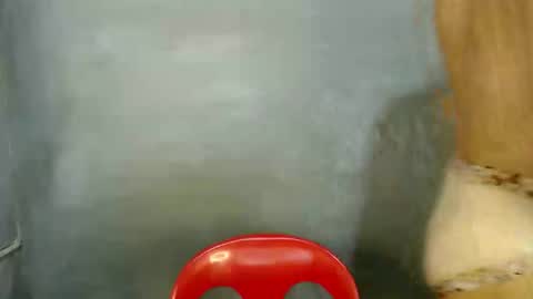 Paulyn online show from 01/07/26, 05:54