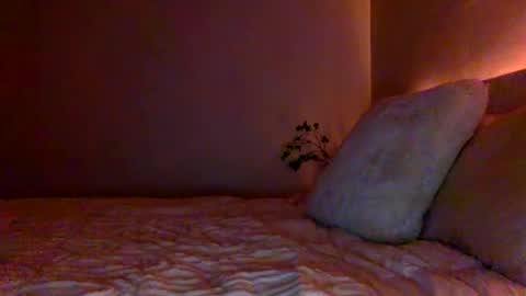 Snapshot of ttess0742 chatting on 07/19/26, 12:47 ttess0742 online show from 07/19/26, 12:47