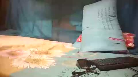 Snapshot of tuchmegently chatting on 01/28/25, 02:32 Mae online show from 01/28/25, 02:32