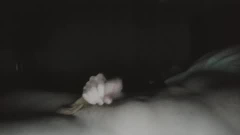 tucker 28 m online show from 03/23/26, 01:31