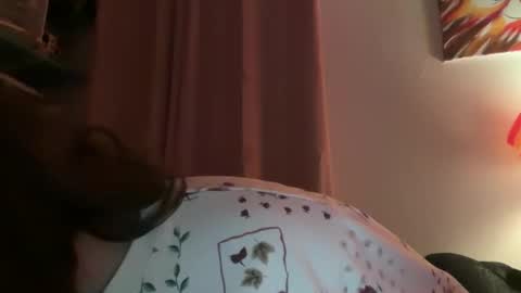 Tulip online show from 02/02/26, 04:00