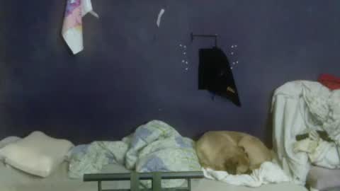 turkishtranswithsurgery online show from 04/12/26, 08:47