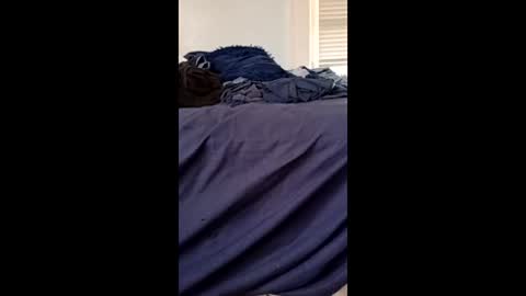 twe4kseeker online show from 04/21/26, 08:55