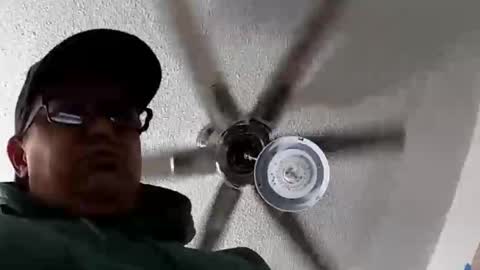 Tweeter74 online show from 02/01/25, 09:32