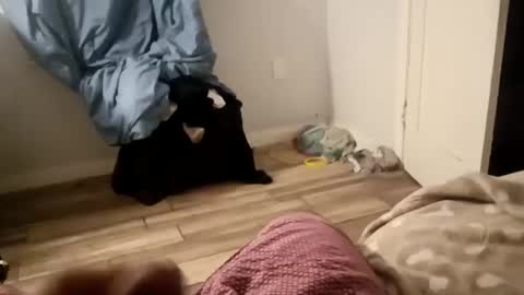 twest84 online show from 09/14/25, 08:46