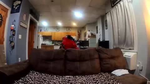 twicethetease2 online show from 02/08/26, 07:34