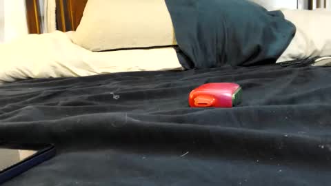 twinkkluvva online show from 02/17/26, 05:52