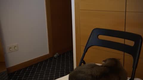 Snapshot of twinksweetlovehot chatting on 12/05/24, 05:06 twinksweetlovehot online show from 12/05/24, 05:06