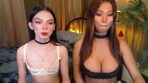 twinktransshanel online show from 10/08/25, 05:05