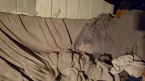 TwistedBlizzy online show from 01/22/25, 06:20