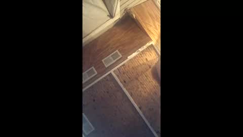 twistercouple3371 online show from 03/10/26, 04:06