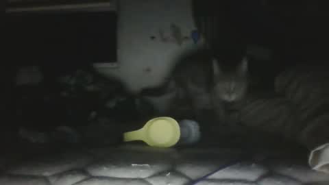 twonkydonk27 online show from 12/13/25, 10:15