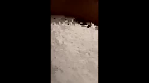 txcouple281 online show from 11/16/25, 08:53