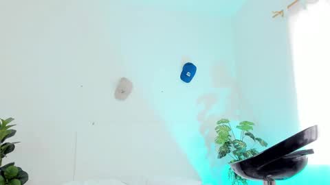 Snapshot of tyler_jonnes chatting on 02/27/25, 06:20 Tyler online show from 02/27/25, 06:20