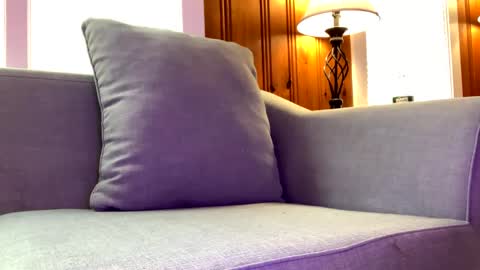 Tyler Sands online show from 02/07/25, 02:58