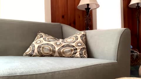 Tyler Sands online show from 02/11/25, 02:46