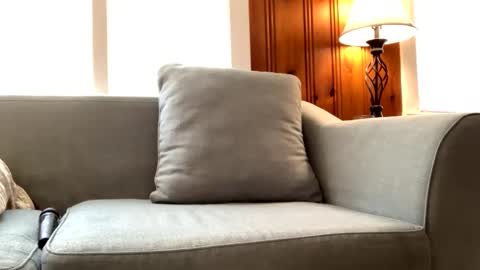 Tyler Sands online show from 02/22/25, 03:14