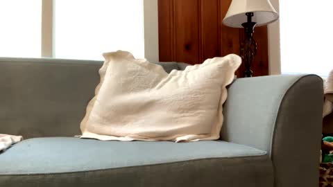 Tyler Sands online show from 03/02/25, 03:05