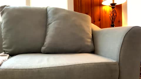 Tyler Sands online show from 03/07/25, 03:49