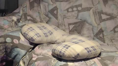 Helena and Tyson online show from 11/09/25, 04:11