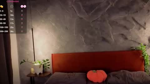 Polly online show from 11/27/25, 03:25