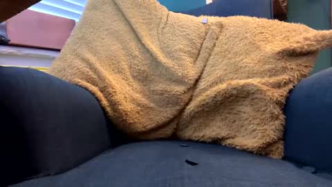 ukclive online show from 02/05/25, 01:22