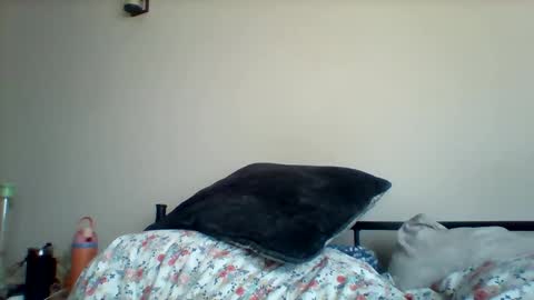 Snapshot of uncircumcise30 chatting on 03/19/26, 12:53 uncircumcise30 online show from 03/19/26, 12:53