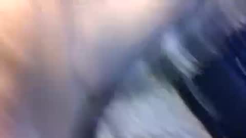 Snapshot of uncut7half237495 chatting on 10/17/25, 03:42 uncut7half237495 online show from 10/17/25, 03:42