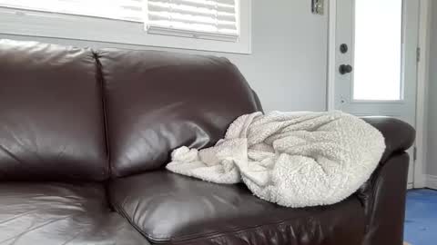 ungerisland online show from 03/09/25, 07:26