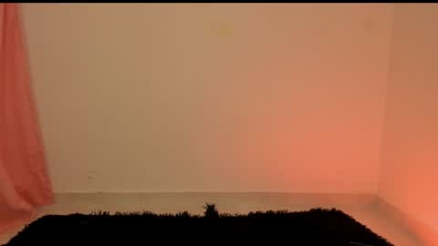 new INSTA   online show from 12/29/24, 03:00