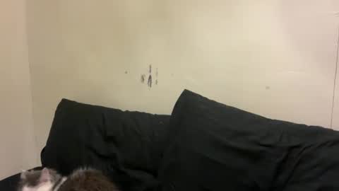 Bran online show from 03/10/26, 01:05