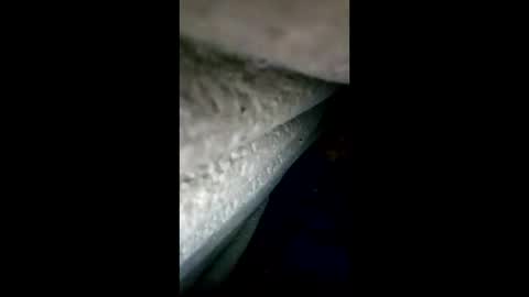 urdleqfaeaxf online show from 04/28/26, 04:12