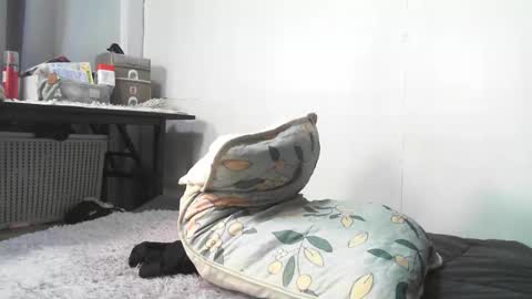 Snapshot of urnightmarets chatting on 02/03/26, 09:03 Rbabes online show from 02/03/26, 09:03