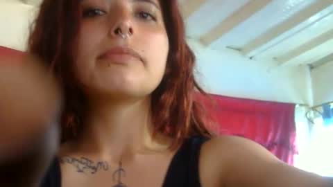 Aniie online show from 01/28/25, 08:47