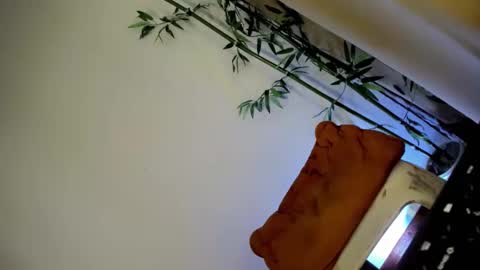 ursashafucker69 online show from 12/03/24, 10:17