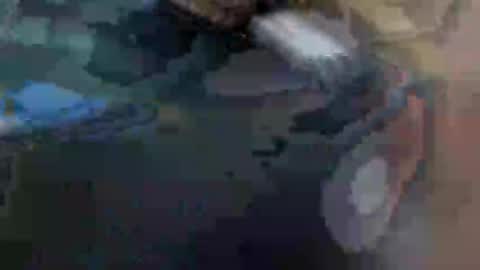 fiona online show from 01/29/25, 10:48