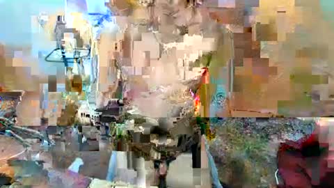 Snapshot of ursweethalea chatting on 02/02/25, 06:04 hello your sweetgirl thallea online show from 02/02/25, 06:04