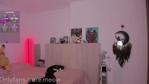    online show from 12/23/25, 12:08